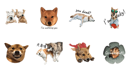 Hana & Ichi