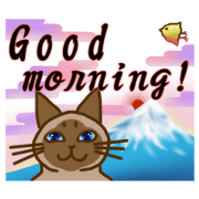 The cat and his jolly friends.2
