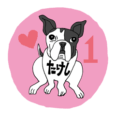 Boston terrier TAKESHI Sticker