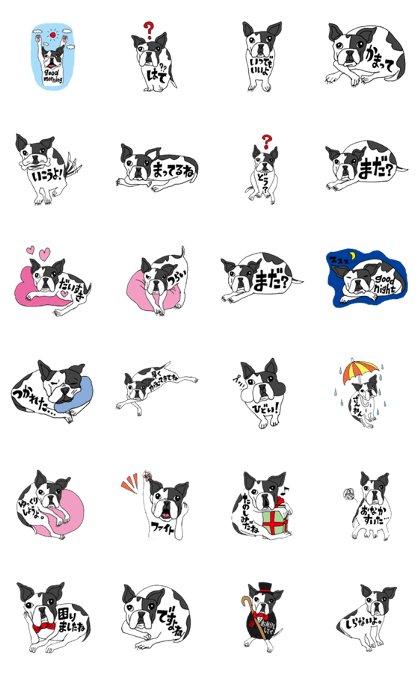 Boston terrier TAKESHI Sticker