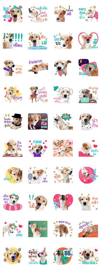 very happy is dogs