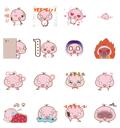 Night pig