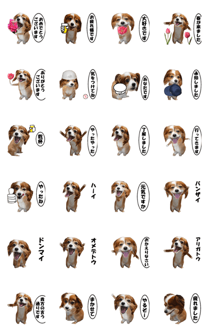active dog rabbit-3