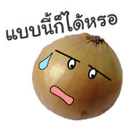 Onion and vegetables