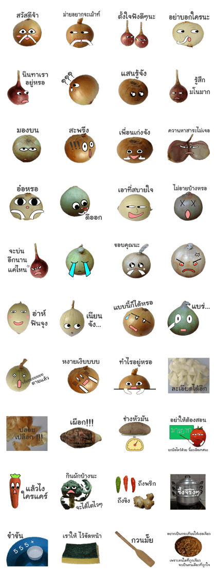 Onion and vegetables