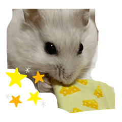 omochi_20210118145353