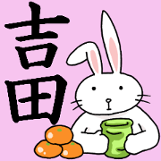 yoshidasanrabbit
