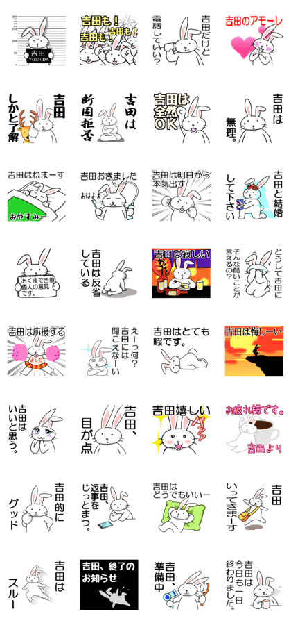 yoshidasanrabbit