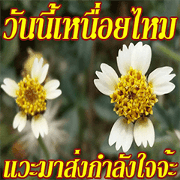 There is encouragement to everyone