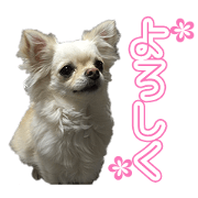 KMsama's Sticker