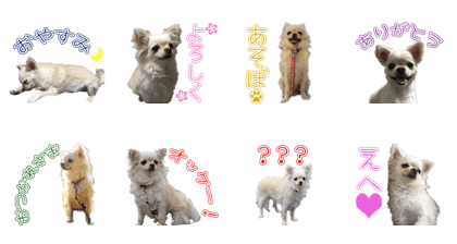 KMsama's Sticker