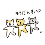 miyaginokaiwa4