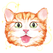 meo meow