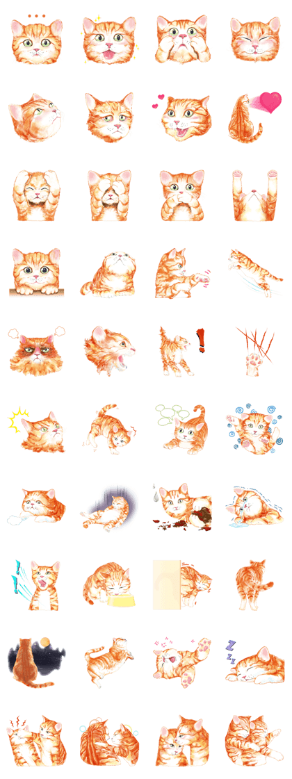 meo meow