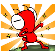 Hilarious ants