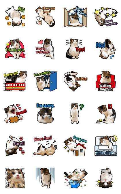 Tetsuro sticker English ver.