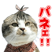 KNO NYANKO Sticker