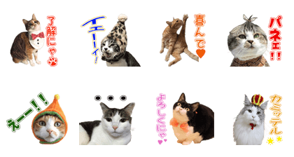 KNO NYANKO Sticker