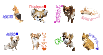 IROSAMA'S Sticker