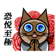 Ok dokey Suzu 1