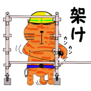 Scaffold shop of the cat