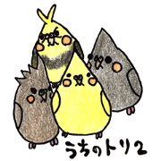 cockatiel 2
