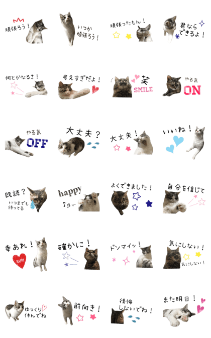 cat of cure .Let's be positive.