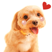 coco cuteSticker