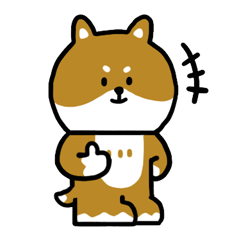 A cute dog shibasaki