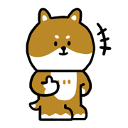 A cute dog shibasaki