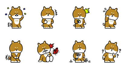 A cute dog shibasaki