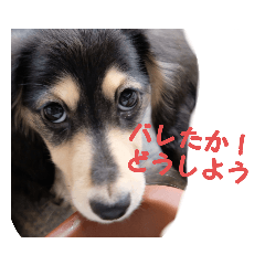 ryuki_20210118204120