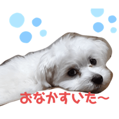 saori_20210118204952