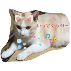 Rina_20210118213052