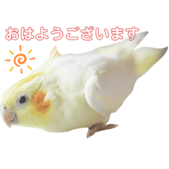 Natsumi_20210118221450