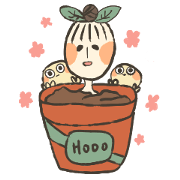 HOOO sister