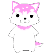 Pomsky "SHIN SHIN" 3