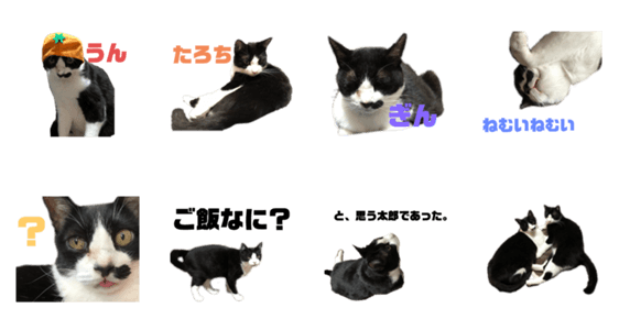 ぎんとたろう Lineクリエイターズスタンプ Stamplist