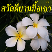 Plumeria of happiness version northeast