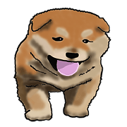 Xiao Chai dog 0329