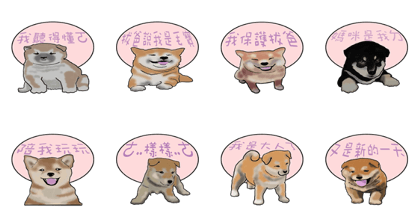 Xiao Chai dog 0329