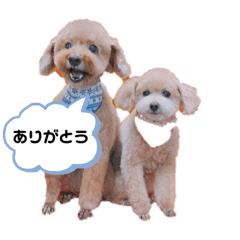 ayumi_20210118204313