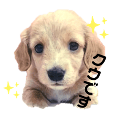 chihiro_20210118192154
