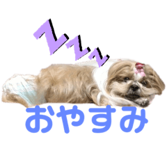 ayumi_20210118224945