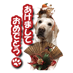 VIVA stamp vol.1
