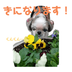 kanae_20210118231121