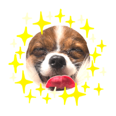 chiyo_20210118231500