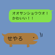 Giant salamander in KYOTO
