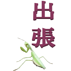 two Chinese characters From Mantis3-BIG