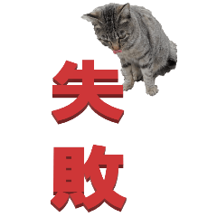 two Chinese characters From Cat2-BIG